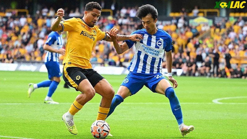 Brighton đối đầu với Wolves tại vòng 21 Ngoại Hạng Anh