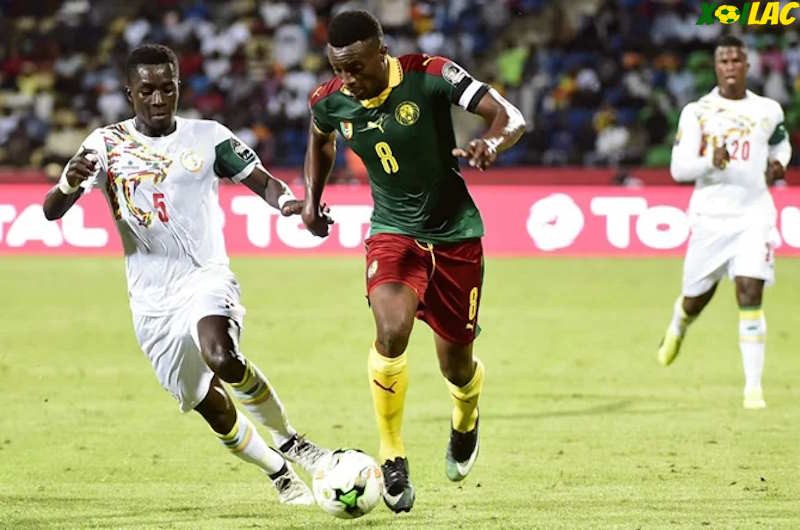 Trận đấu giữa Senegal vs Cameroon sắp tới theo đánh giá của Xoilac sẽ vô cùng hấp dẫn. 