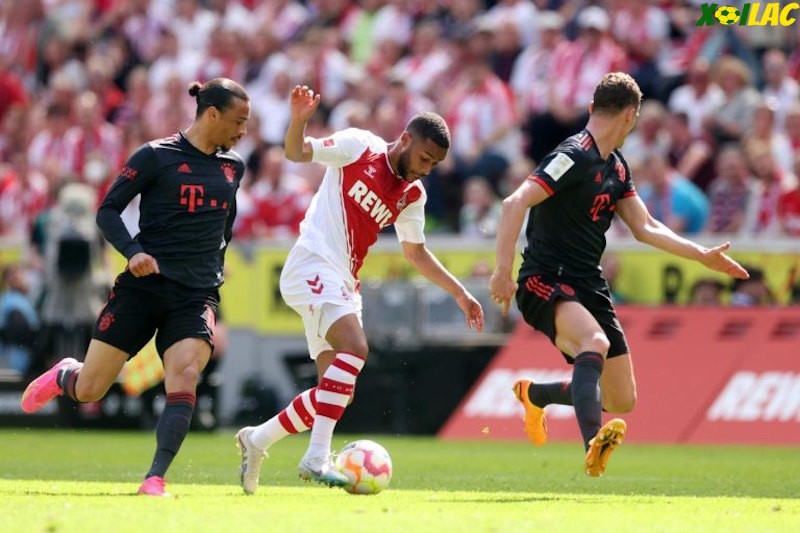 Bayern Munich sẽ tiếp đón FC Koln trên sân nhà Bayern Munich sẽ tiếp đón FC Koln trên sân nhà