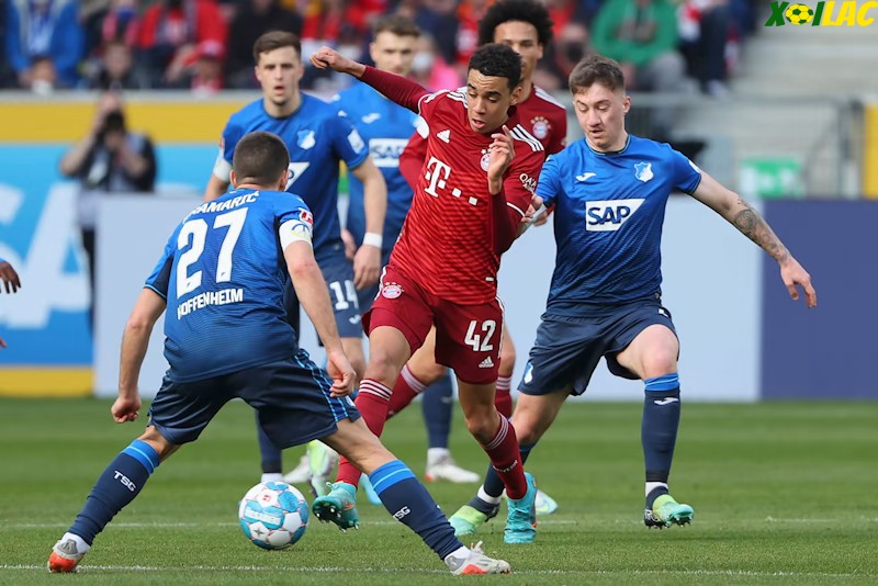 Hoffenheim sẽ có màn đối đầu với Bayern Munich Hoffenheim sẽ có màn đối đầu với Bayern Munich