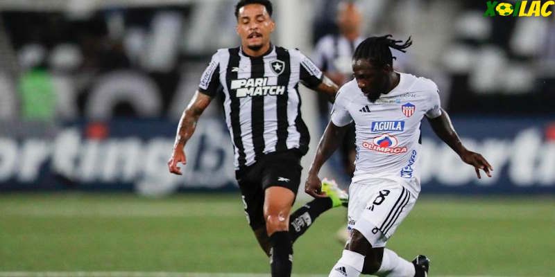 Junior sẽ đối đầu với Botafogo RJ tại lượt về bảng D Copa Libertadores Junior sẽ đối đầu với Botafogo RJ tại lượt về bảng D Copa Libertadores
