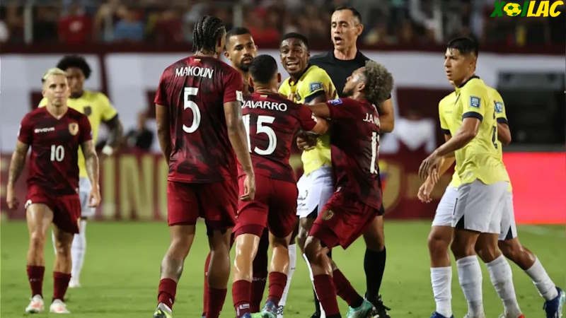 Ecuador sẽ đối đầu với Venezuela trong ngày mở màn bảng B Copa America Ecuador sẽ đối đầu với Venezuela trong ngày mở màn bảng B Copa America